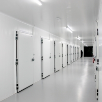 Puerta Pivotante Frigorífica Comercial Puerta Pivotante Frigorífica Comercial