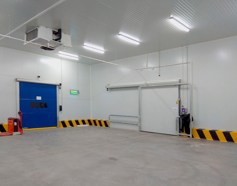 Wazo Packaging - Marruecos